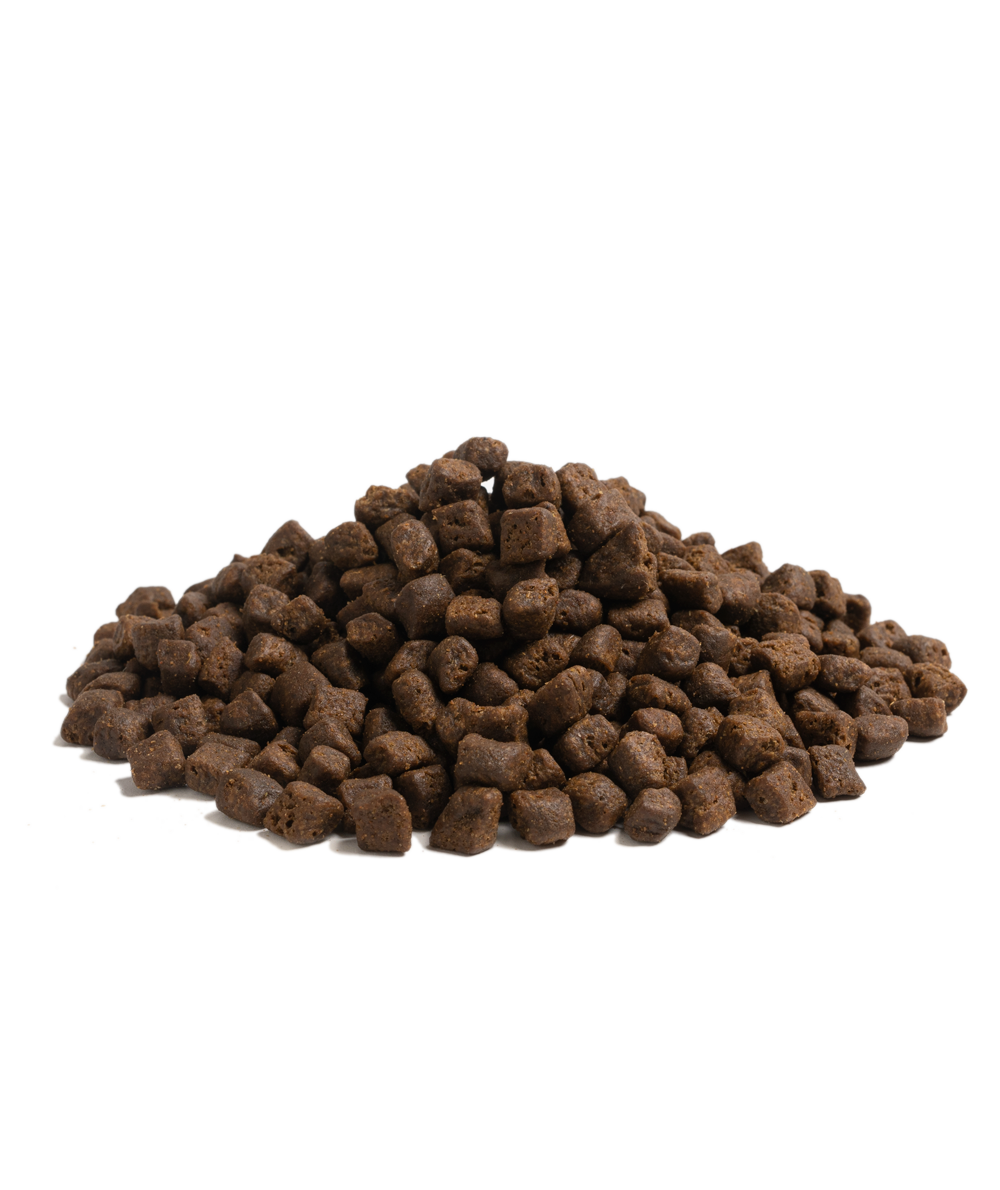 OUR FINEST BEGINNING SMALL BREED, 2.5KG