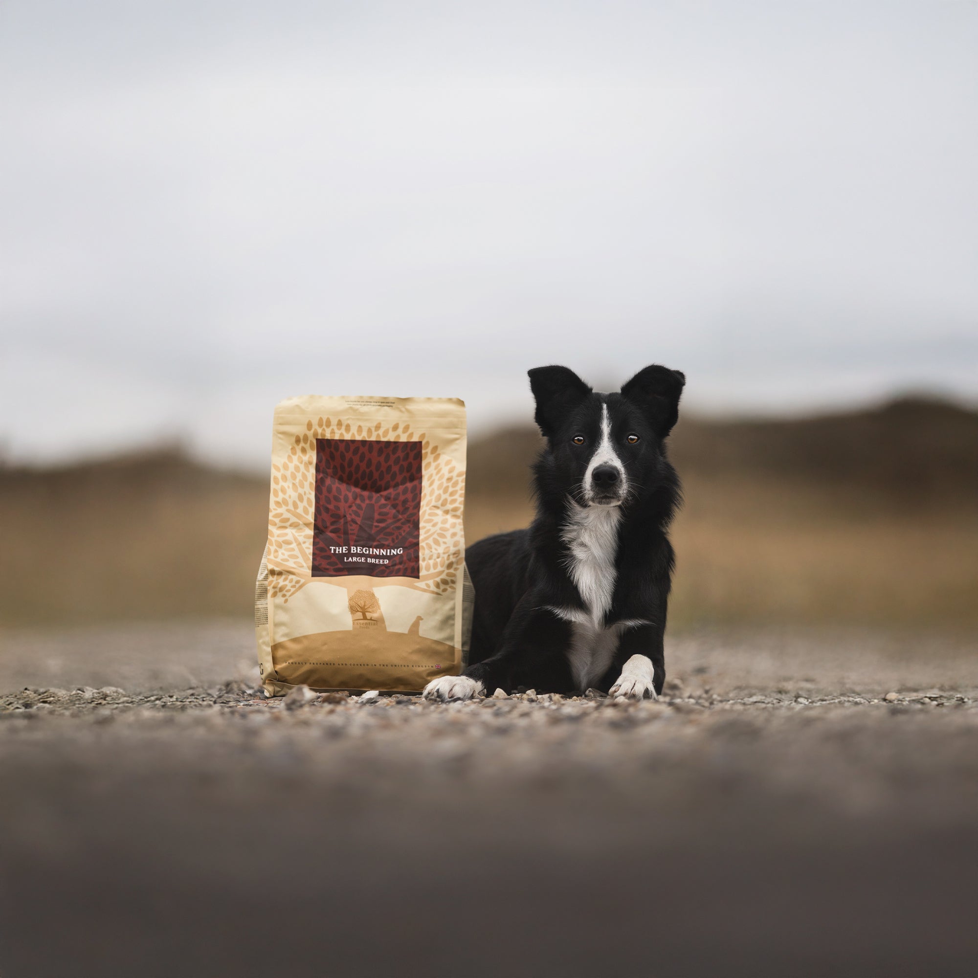 OUR FINEST BEGINNING LARGE BREED, 2.5KG