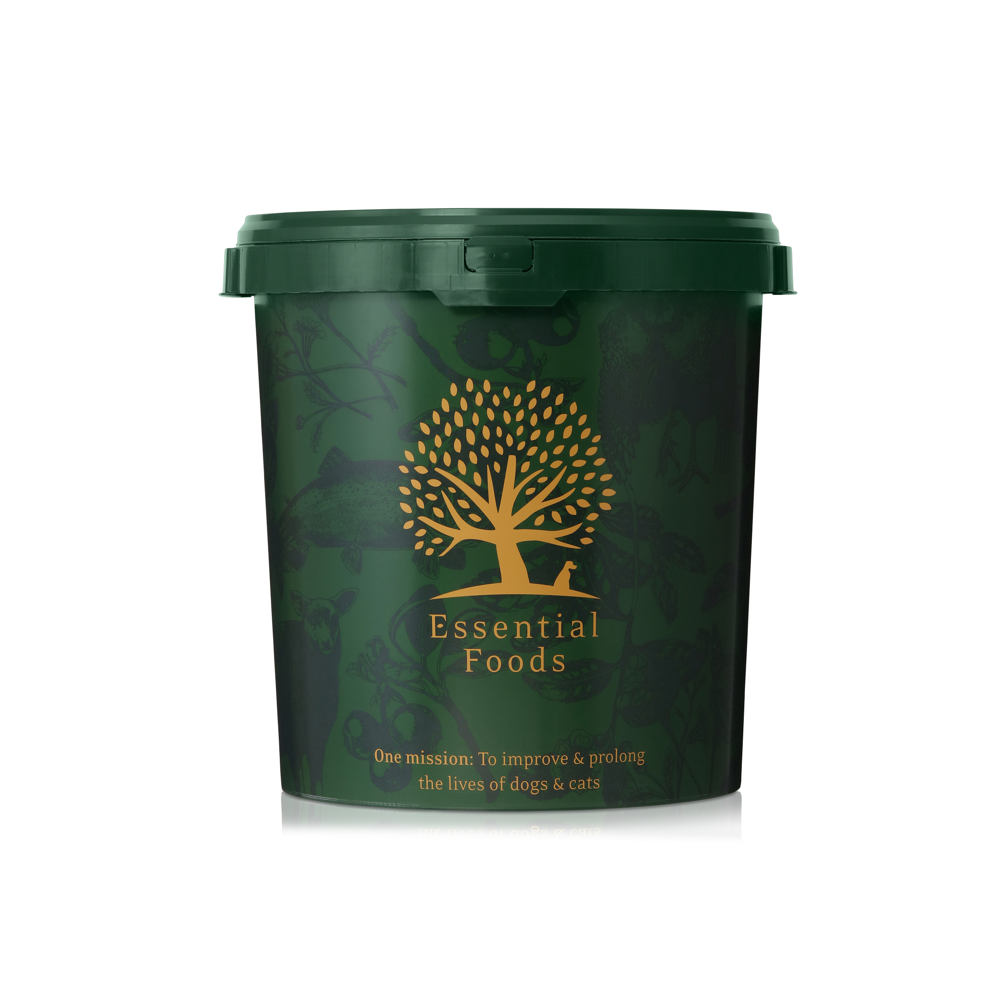 ESSENTIAL THE FOOD BOX
